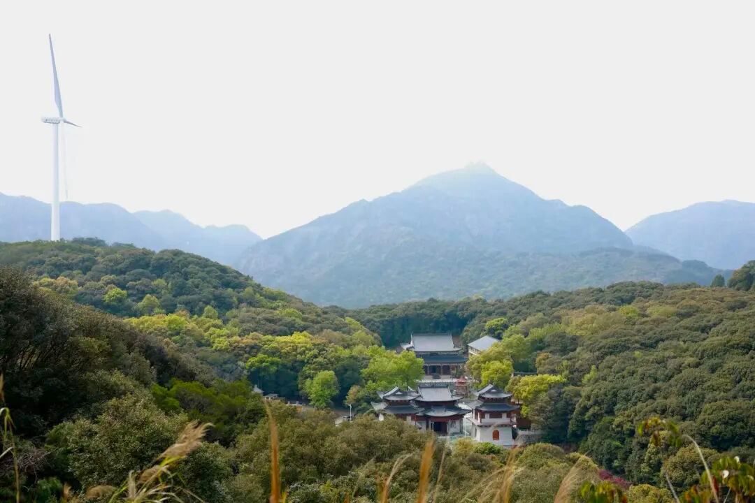 和你一起去看海|三月与丽人,一起拥抱春天